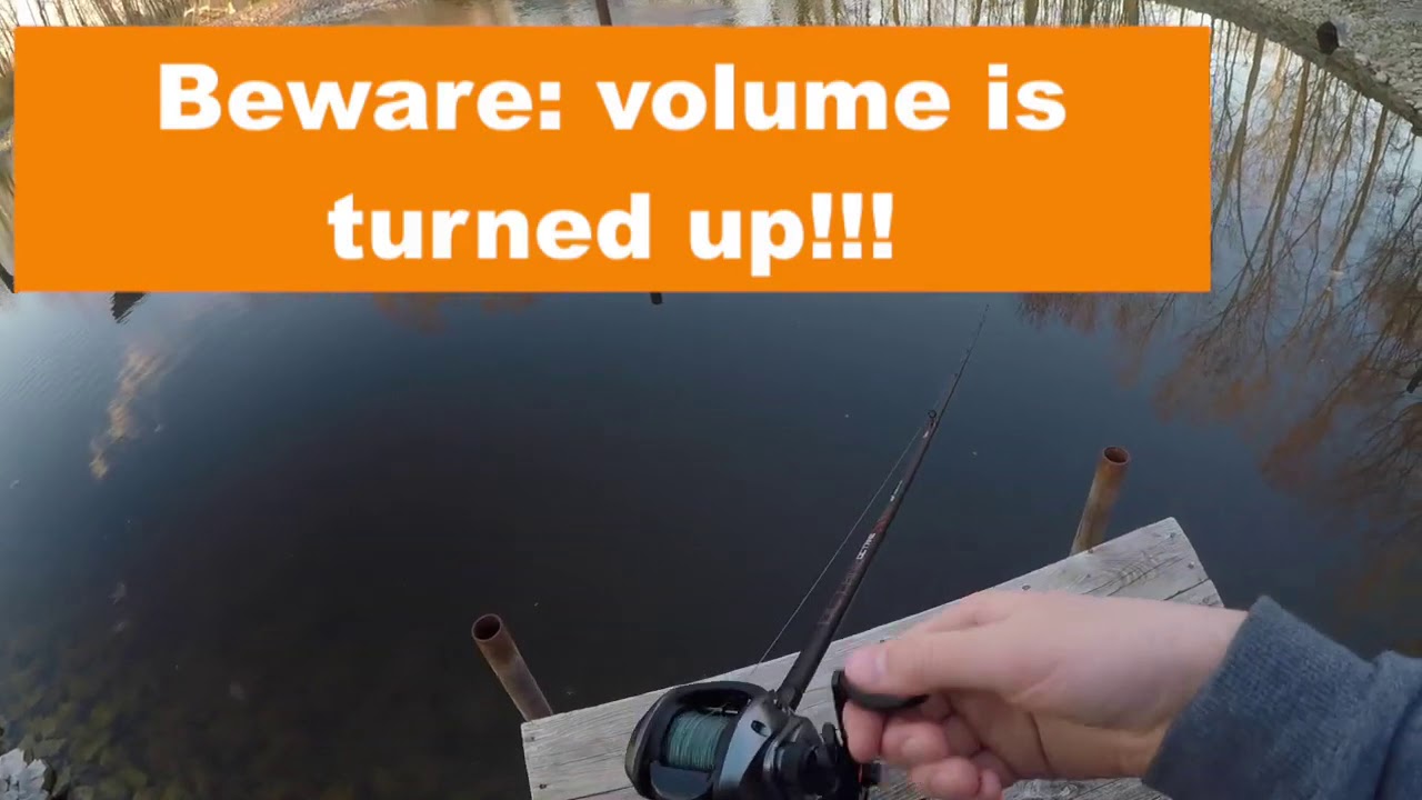 TIGER MUSKIE & PIKE   SENECA RIVER!!!