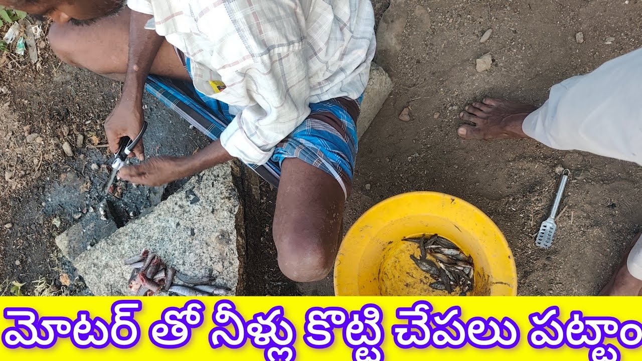 డబ్బులు పెట్టి కొన్నా చేపలు వచ్చేవి వంద లాస్😢 || @Mohan Fishing..