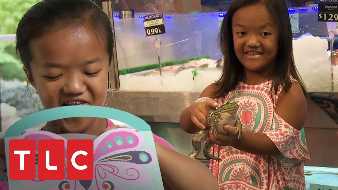 O aniversário chinês da Emma | Os Pequenos Johnstons | TLC Brasil