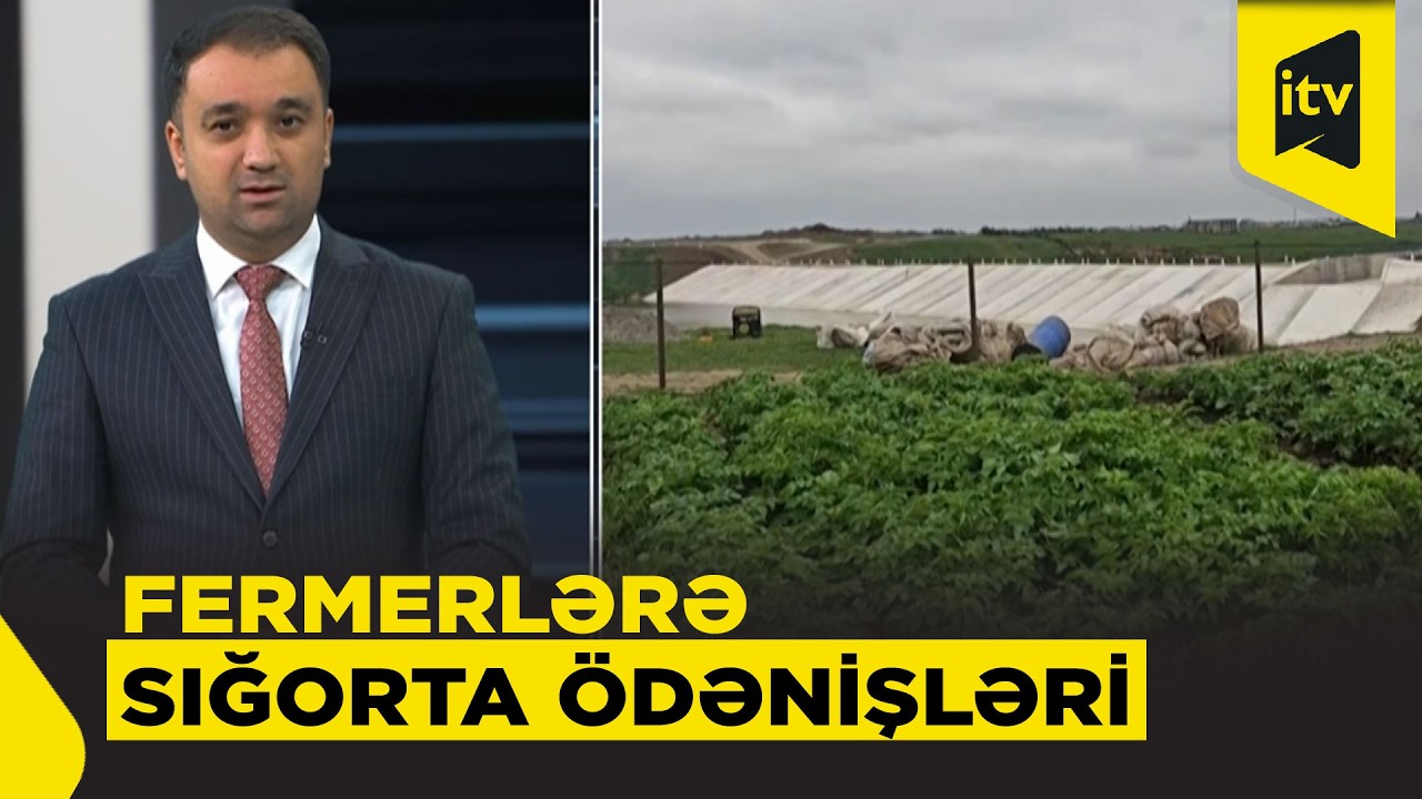 Fermerlərin zərəri necə ödənilir? – Aqrar sığortanın rolu