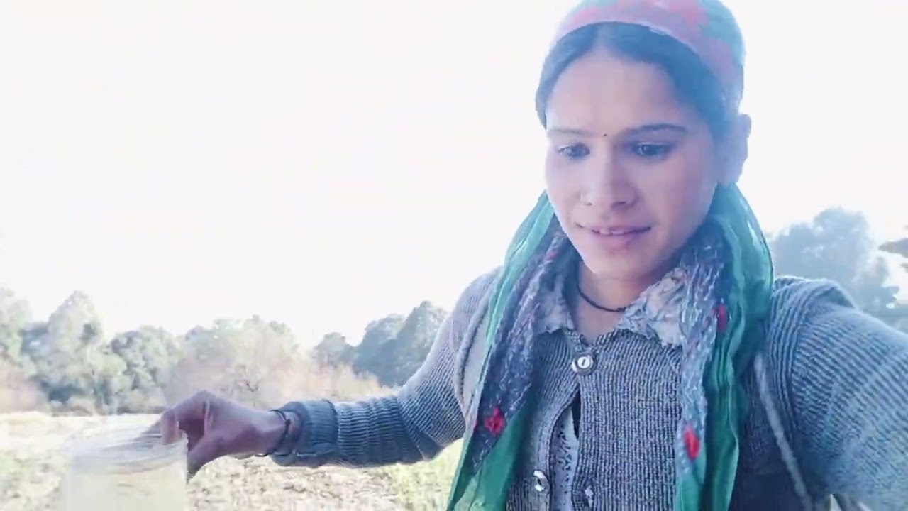 पहाड़ी जिंदगी,💚 "सुबह की शुरुआत हरे भरे पेड़ों के साथ"! 🌿