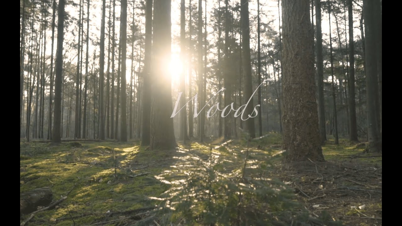 WOODS_Instrumental Version_William Succi