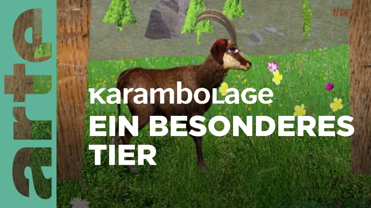 Der Dahu | Karambolage | ARTE