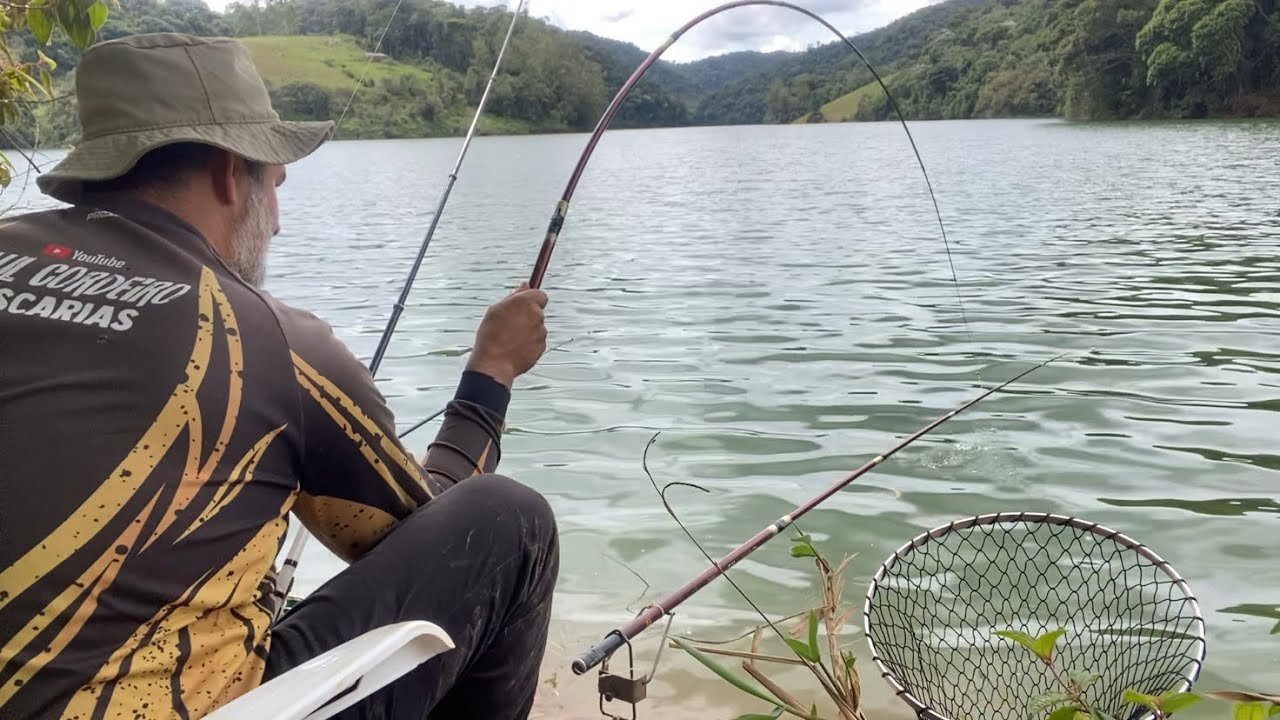 PESCARIA DE TILÁPIA SELVAGEM INCRÍVEL! O cardume encostou e não dava pra respirar!