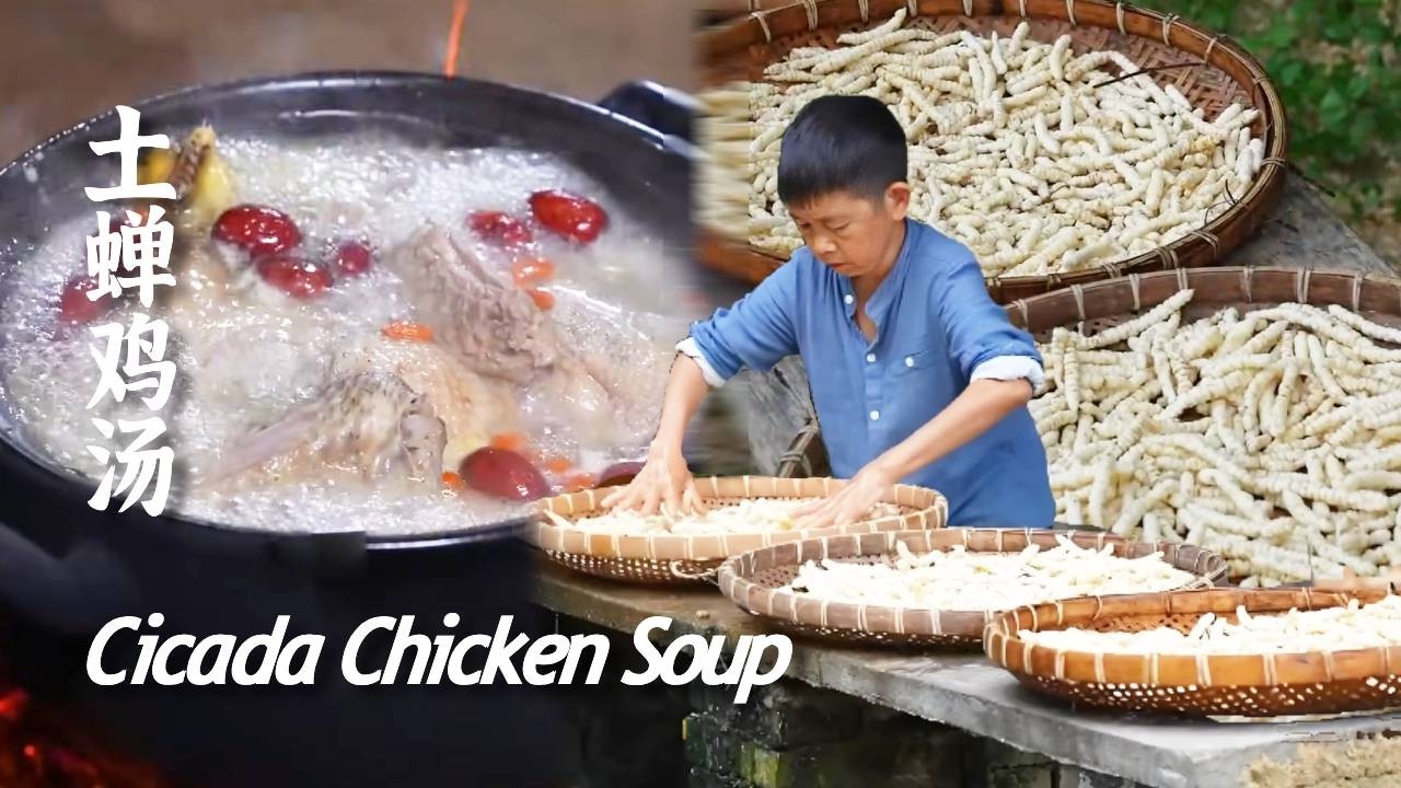 似蝉不是蝉，不言不语土中眠，一觉醒来在碗中！【康仔农人】