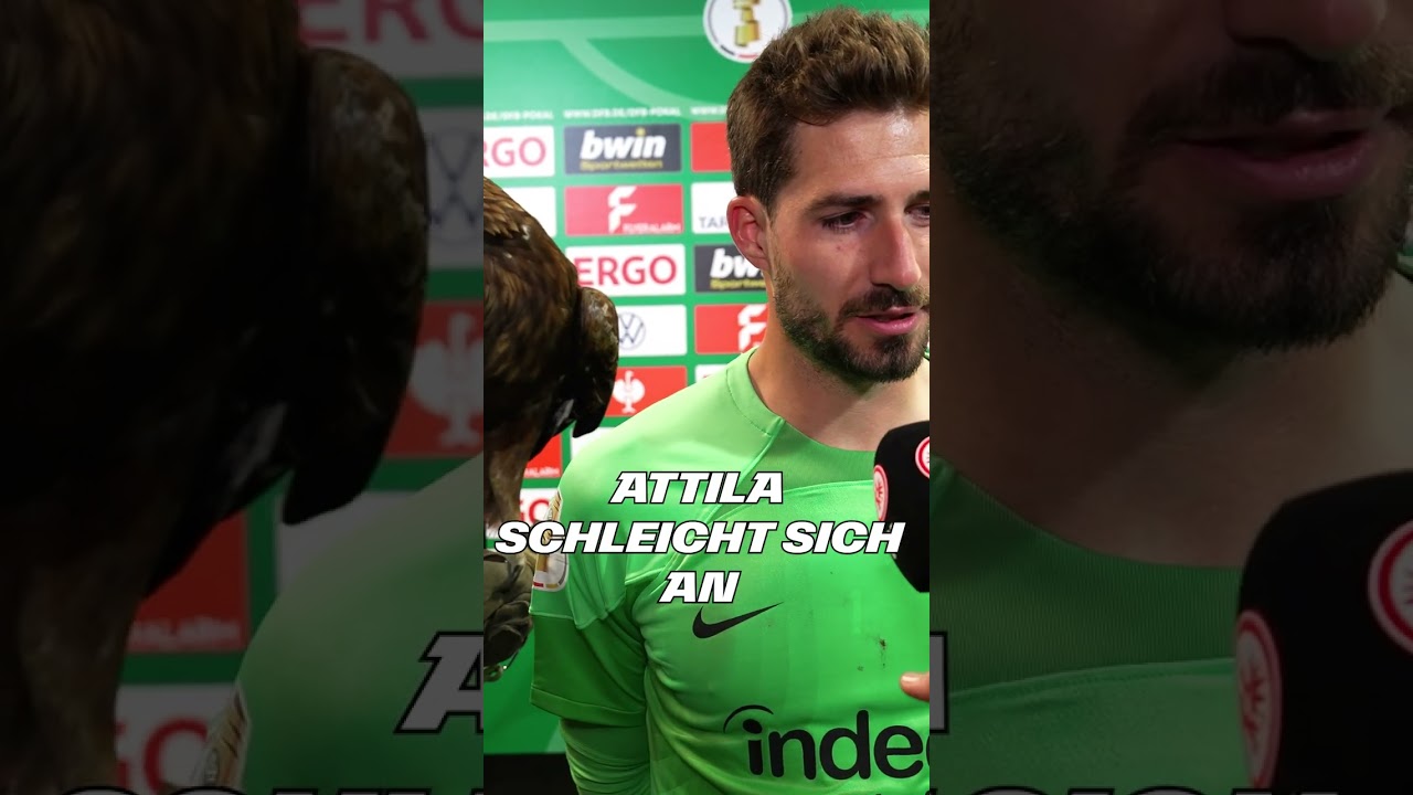 W&auml;hrend des Interviews! Kevin Trapp trifft alten Bekannten und freut sich 🦅 #Shorts