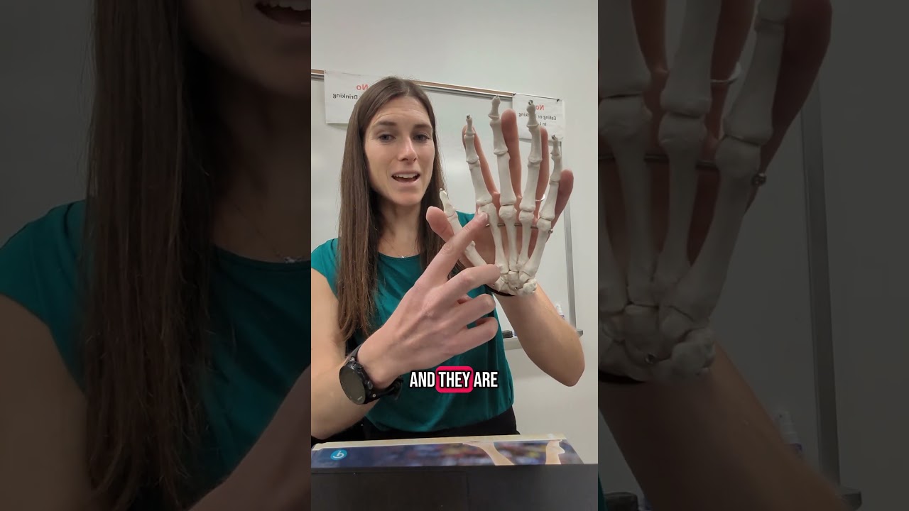 Давайте рассмотрим некоторые типы синовиальных суставов кисти! #анатомия #анатомияифизиология