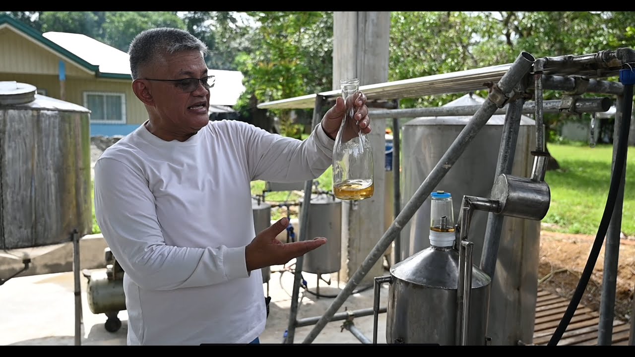 Lemongrass oil extraction process