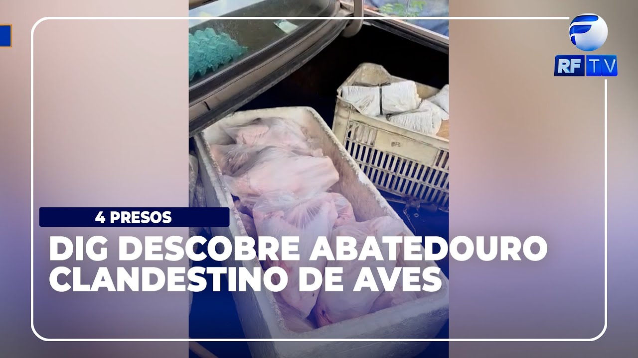 Tá no Ar - 4 PRESOS