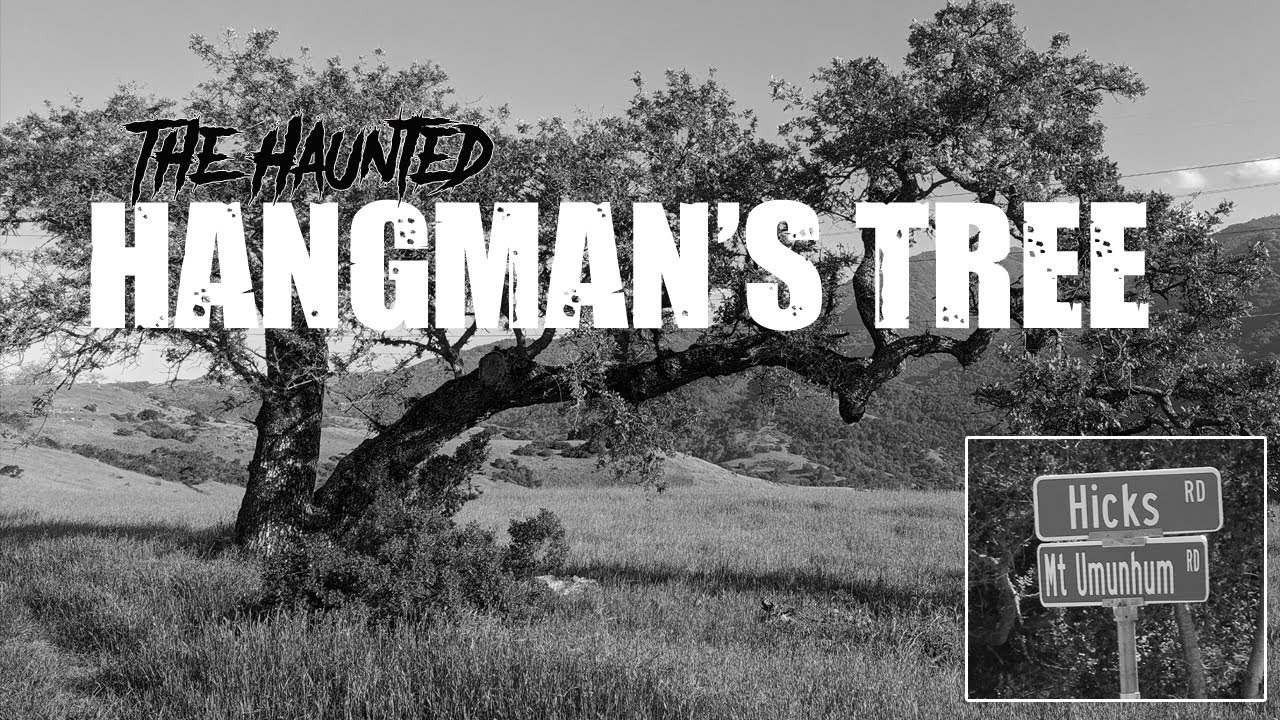 The Hangman's Tree of San Jose, CA. - Located off the infamous Hicks Rd.