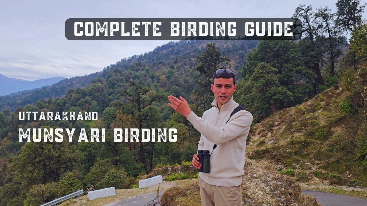 Munsyari Birding Guide | Himalayan Birds, Rare Species & Best Season to Visit | Himalayan Birding