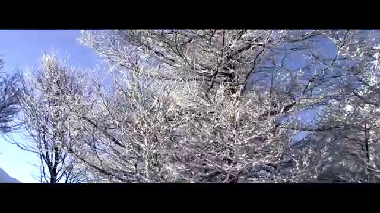 04DT 2015_Carve to Wonder Land Teaser