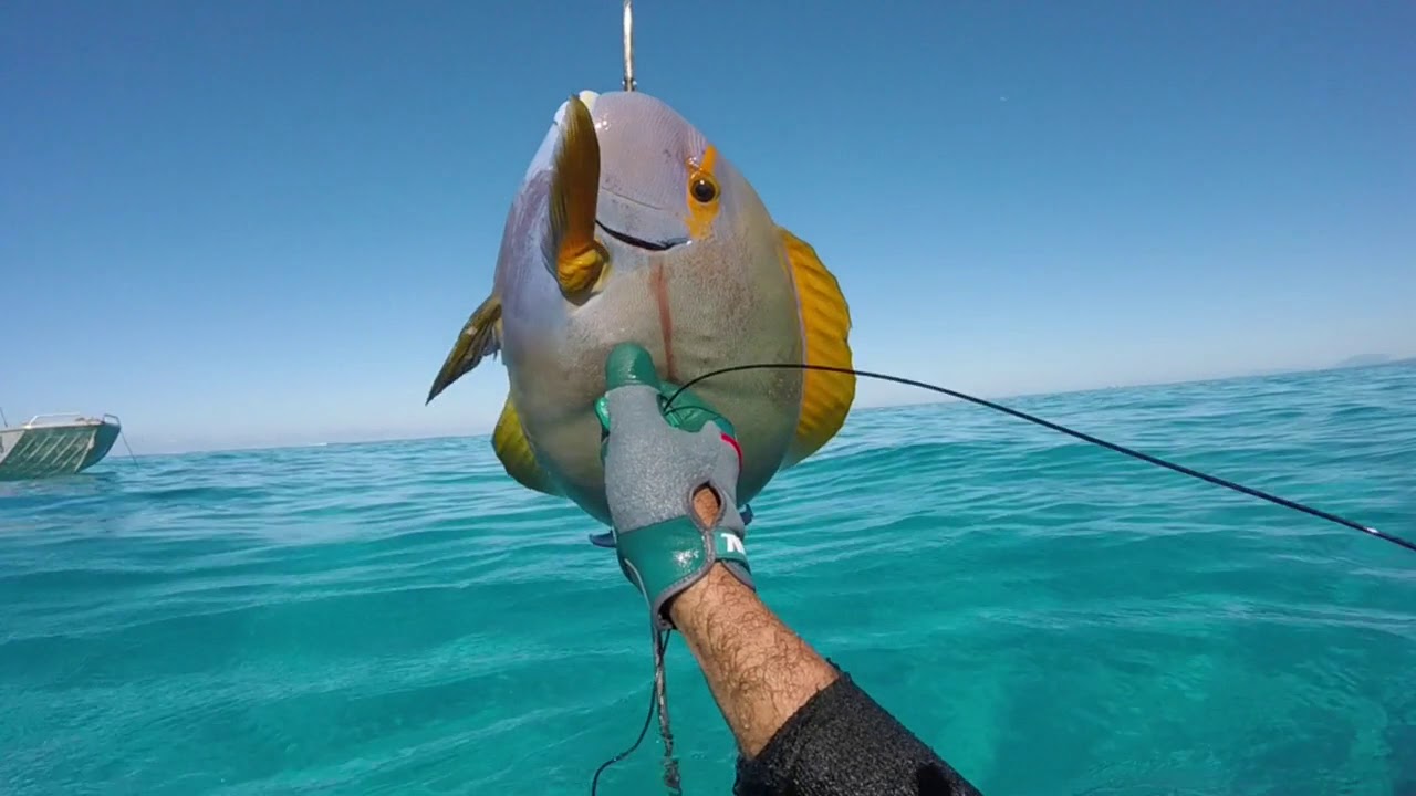 pêche pmbt 2020 Nouvelle caledonie