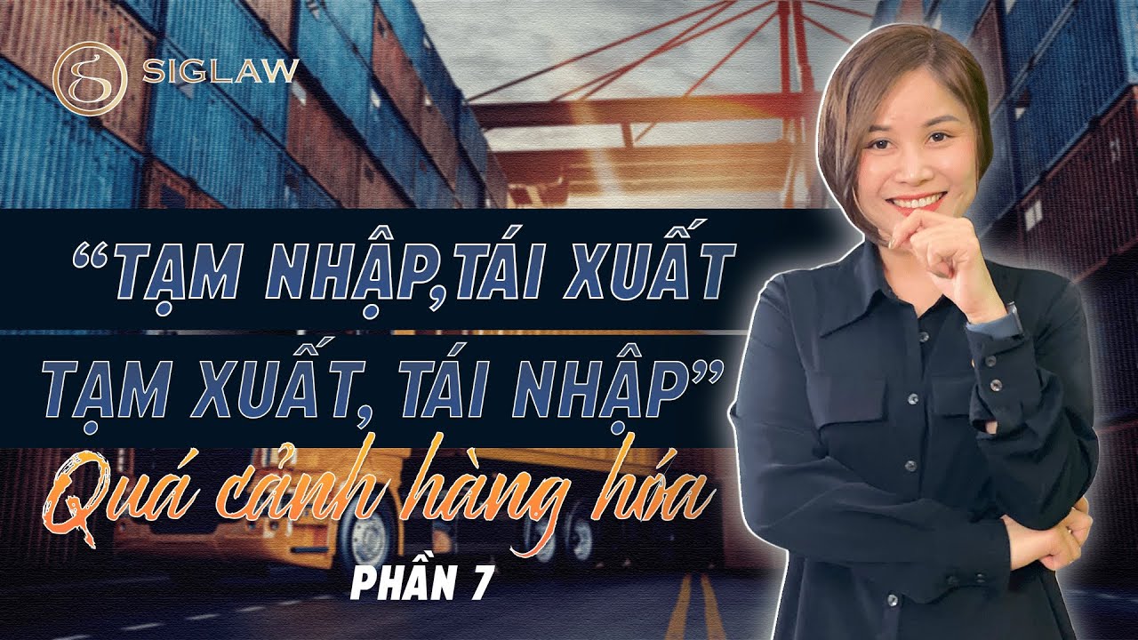 Các lưu ý quan trọng về quá cảnh hàng hóa | Công ty luật Siglaw