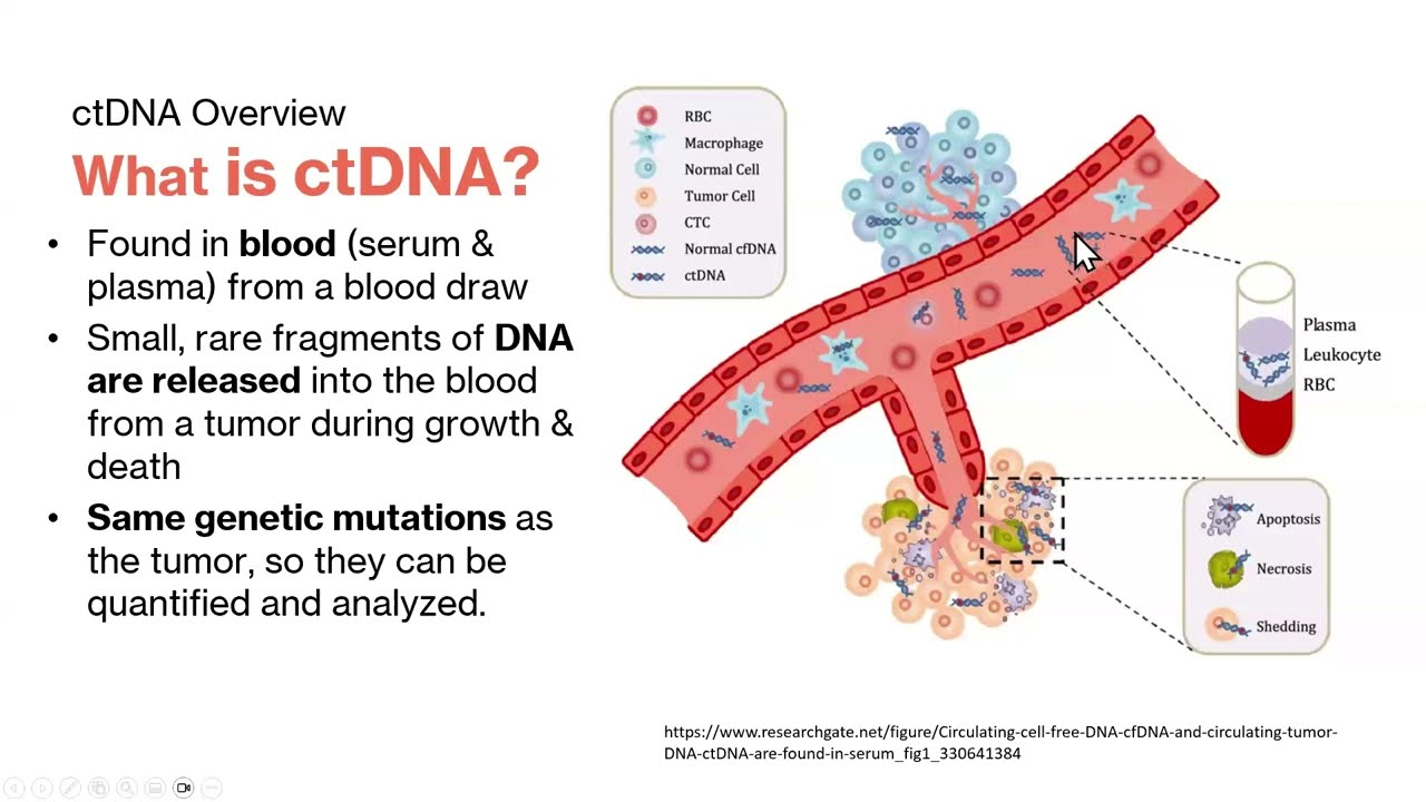 Ask an Expert - Circulating Tumor DNA