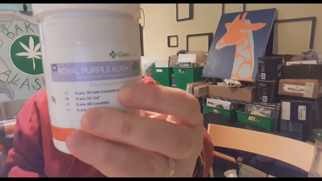 STRAIN REVIEW: Royal Purple Kush (CannTrust LP)