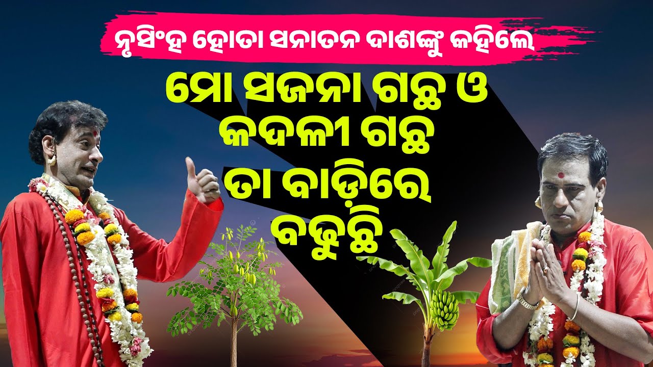 ମୋ ସଜନା ଗଛ ଓ କଦଳୀ ଗଛ ସନାତନ ଦାଶ ବାଡ଼ିରେ ବଢୁଛି |Mo Sajana Tree O Kadali Tree Ta Badire Badhuchhi ||