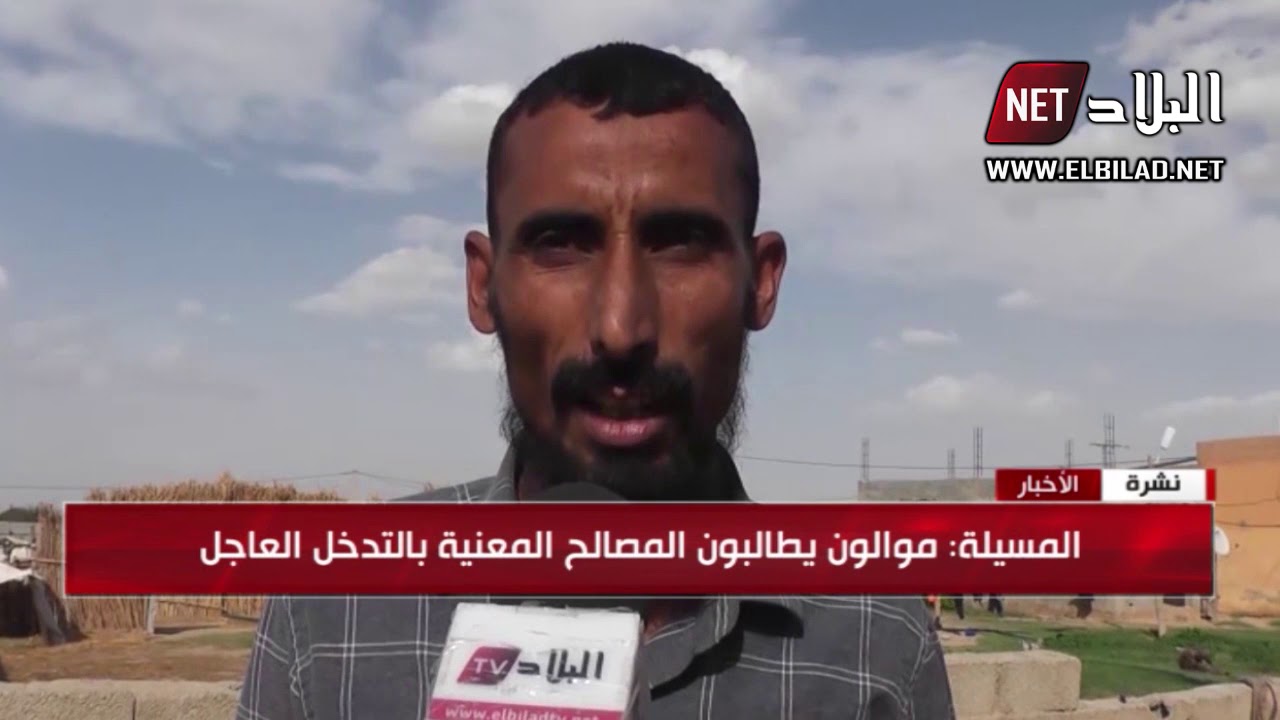 المسيلة : داء اللسان الازرق يفتك بعدد من رؤوس الماشية