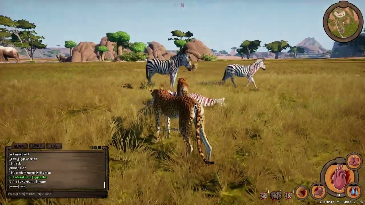 Plains Zebra Hunt
