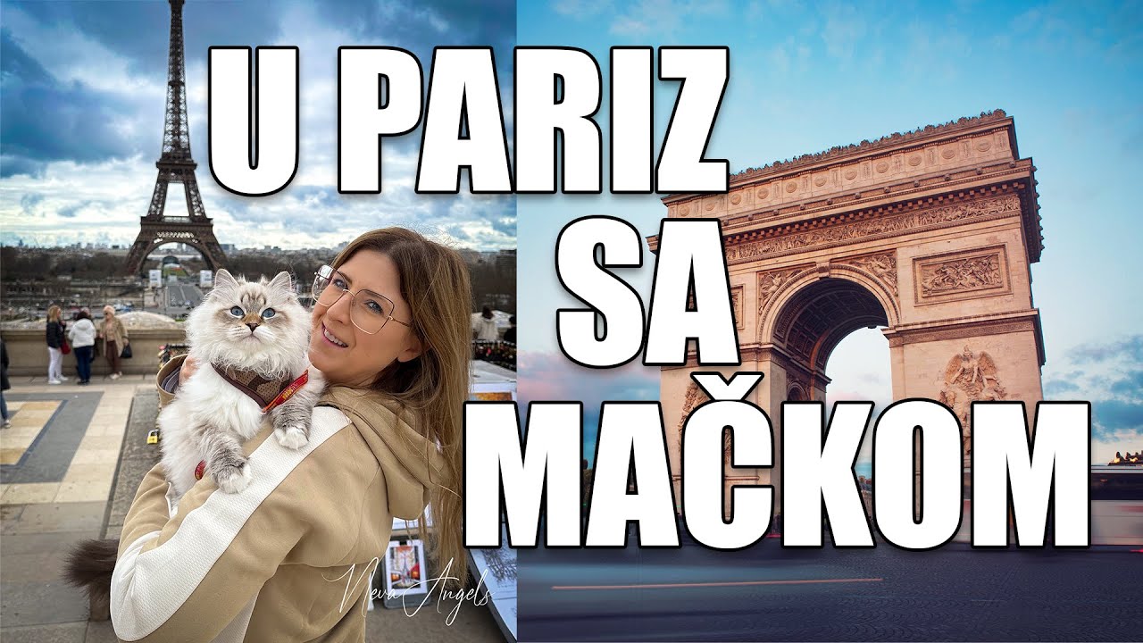 Sa mačkom u Pariz!