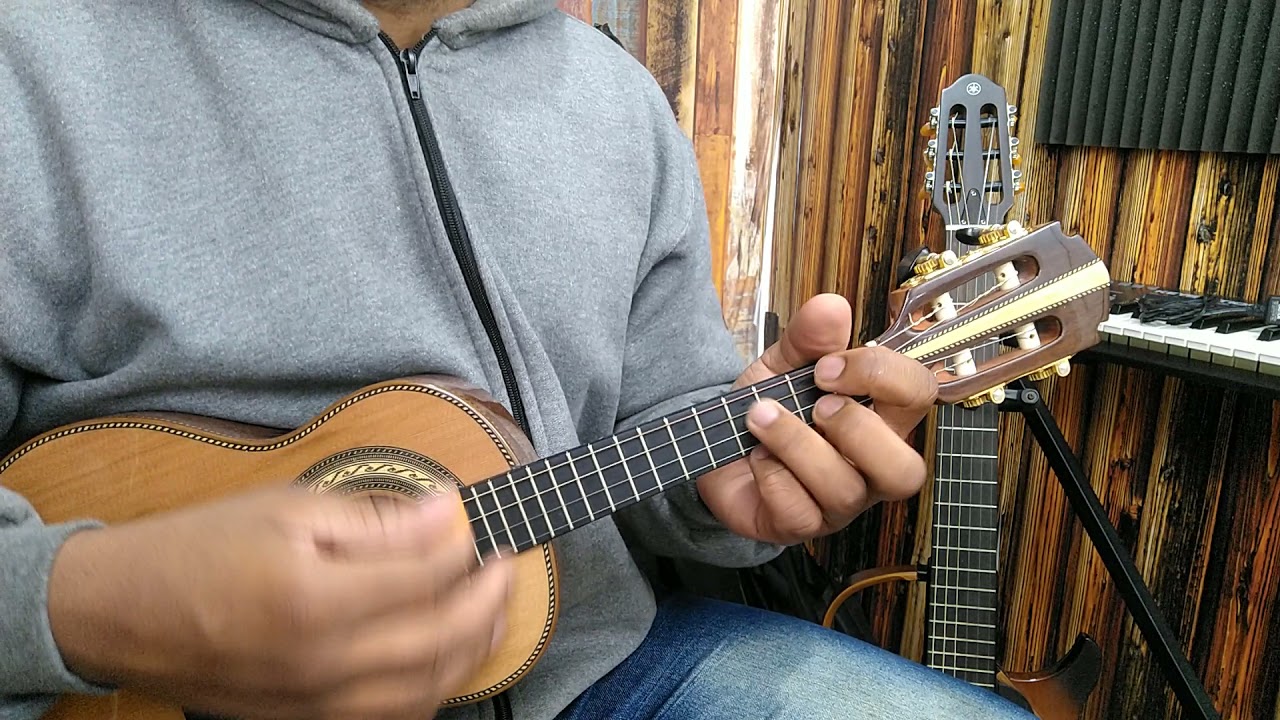 ESTOU MAL - RAÇA NEGRA GRANDE SUCESSO FÁCIL DE TOCAR ( AULA DE CAVAQUINHO )