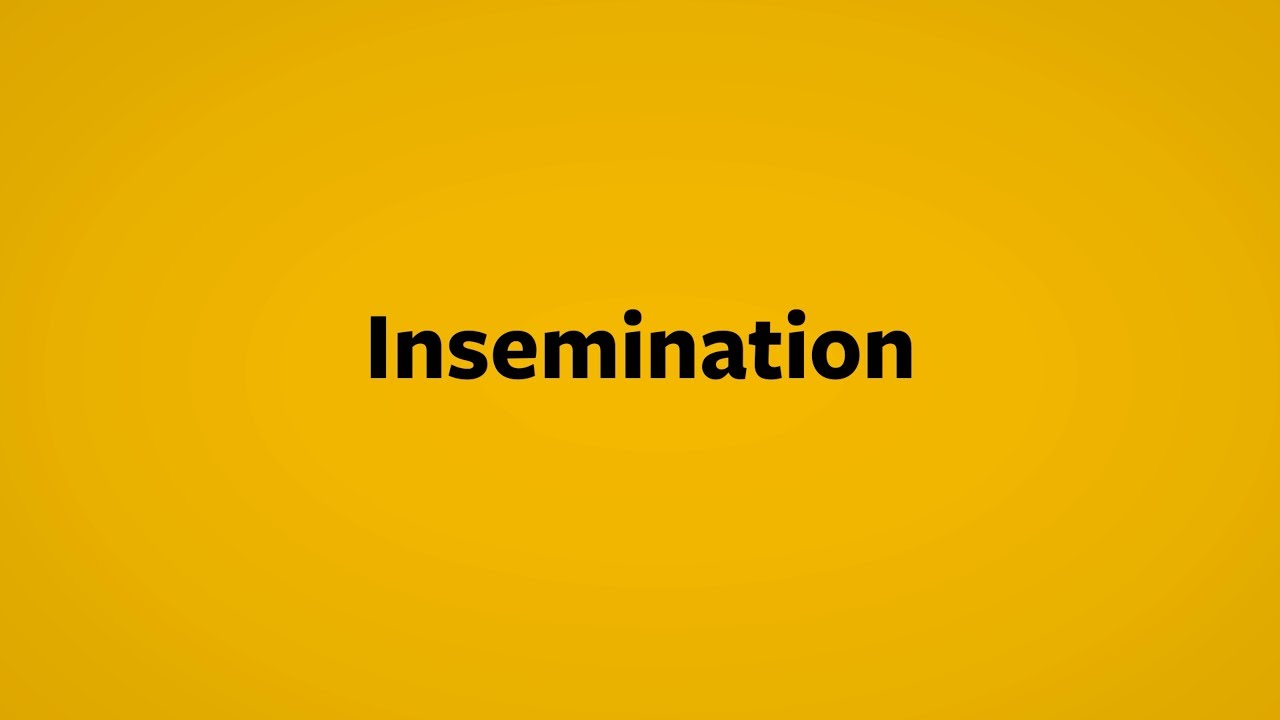 In Vitro Fertilization Insemination Process