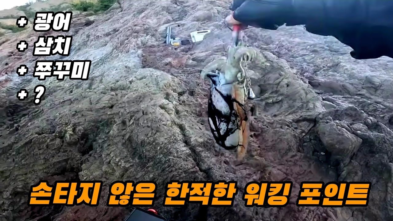 새만금 한적한 포인트 !! 갑오징어 광어 삼치 쭈꾸미