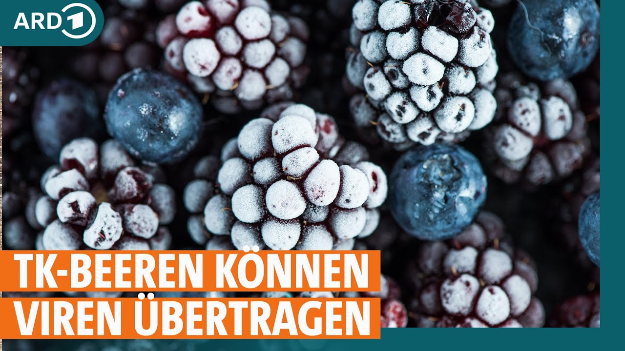 Infektion mit Hepatitis A: Tiefkühlbeeren können Viren übertragen I ARD Gesund