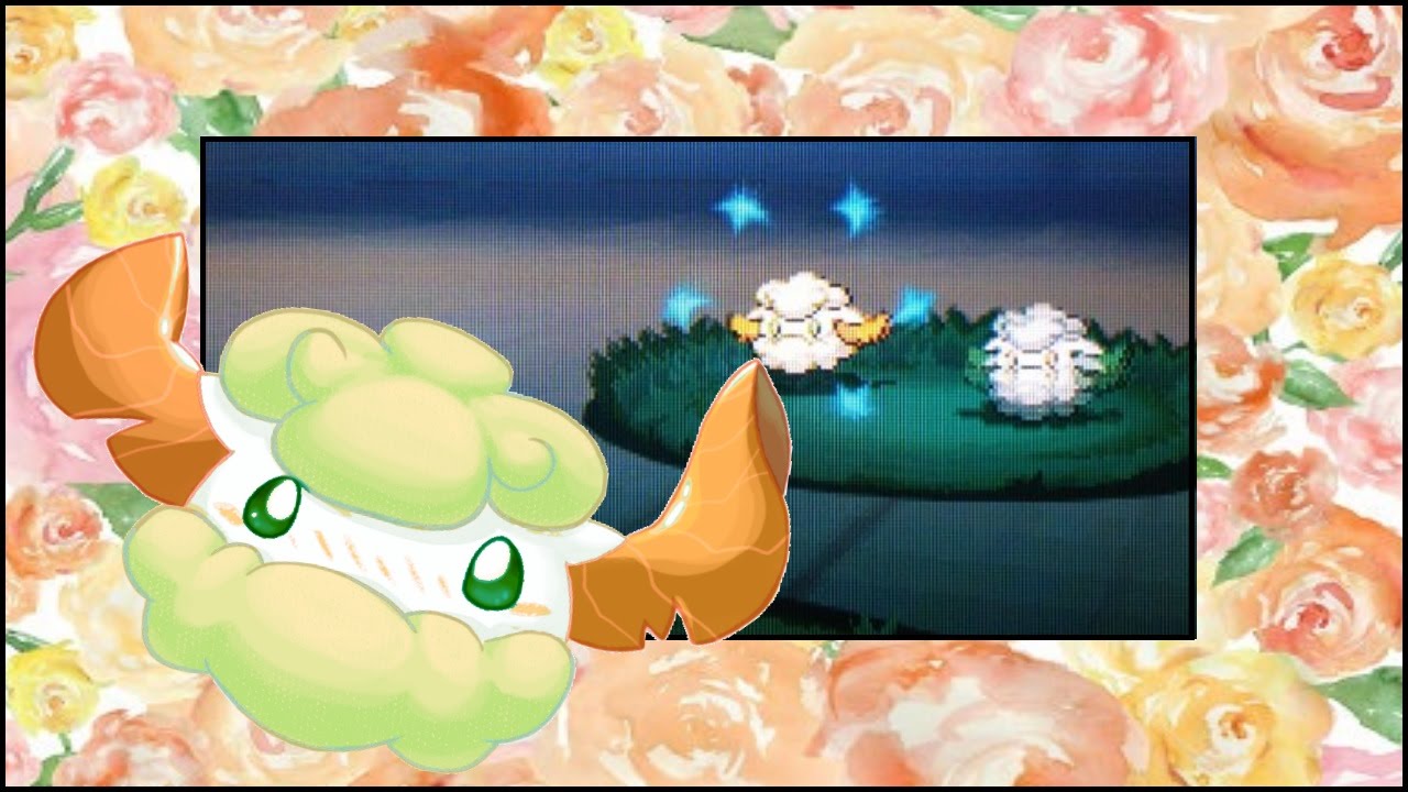 (WSHC #6 2015-16) LIVE!! Shiny Cottonee after ONLY 356 REs in Black 2