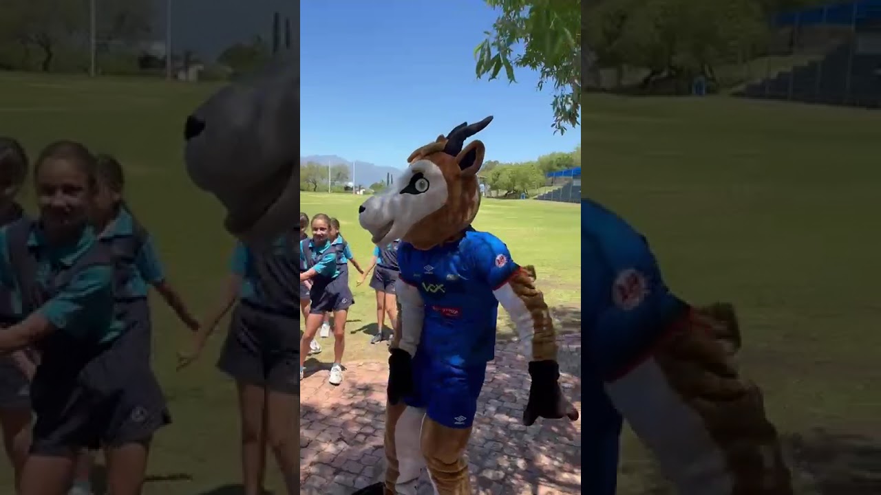 Bonqi the RSD Springbok mascot visit Worcester Primer School