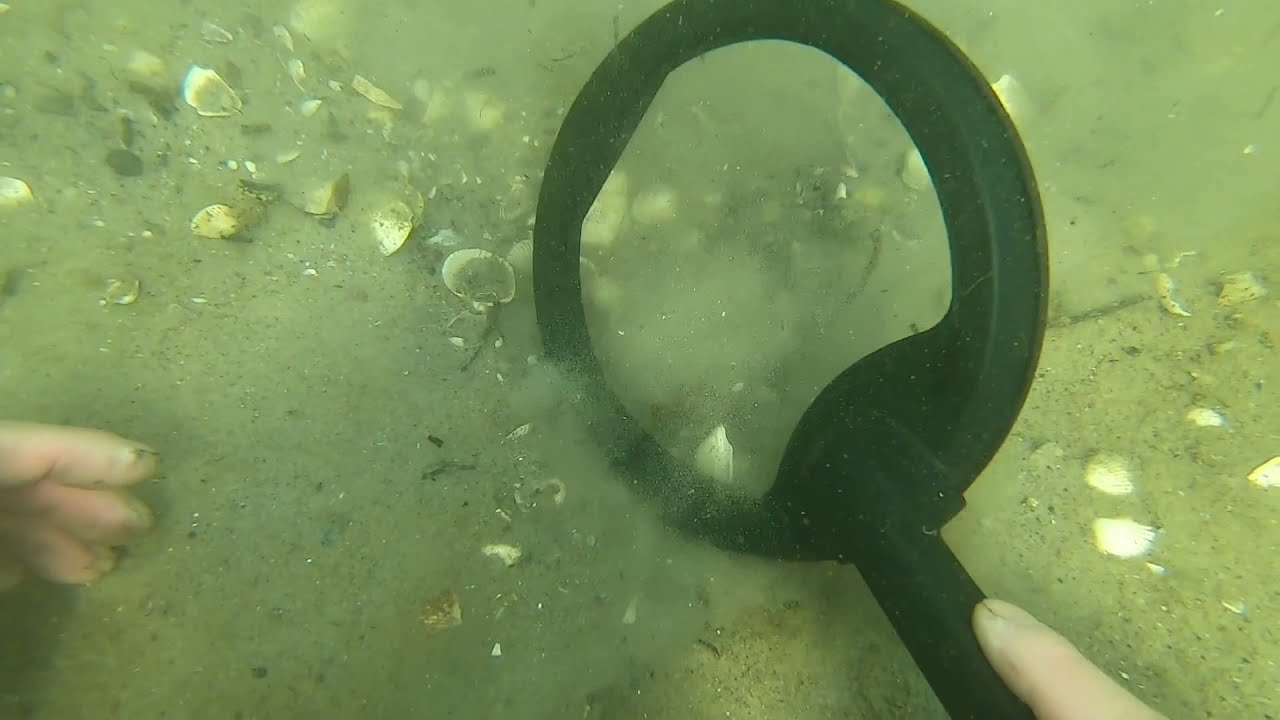 Found gold ring with Pulse Dive and Nemo Blu3 in Baltic Sea