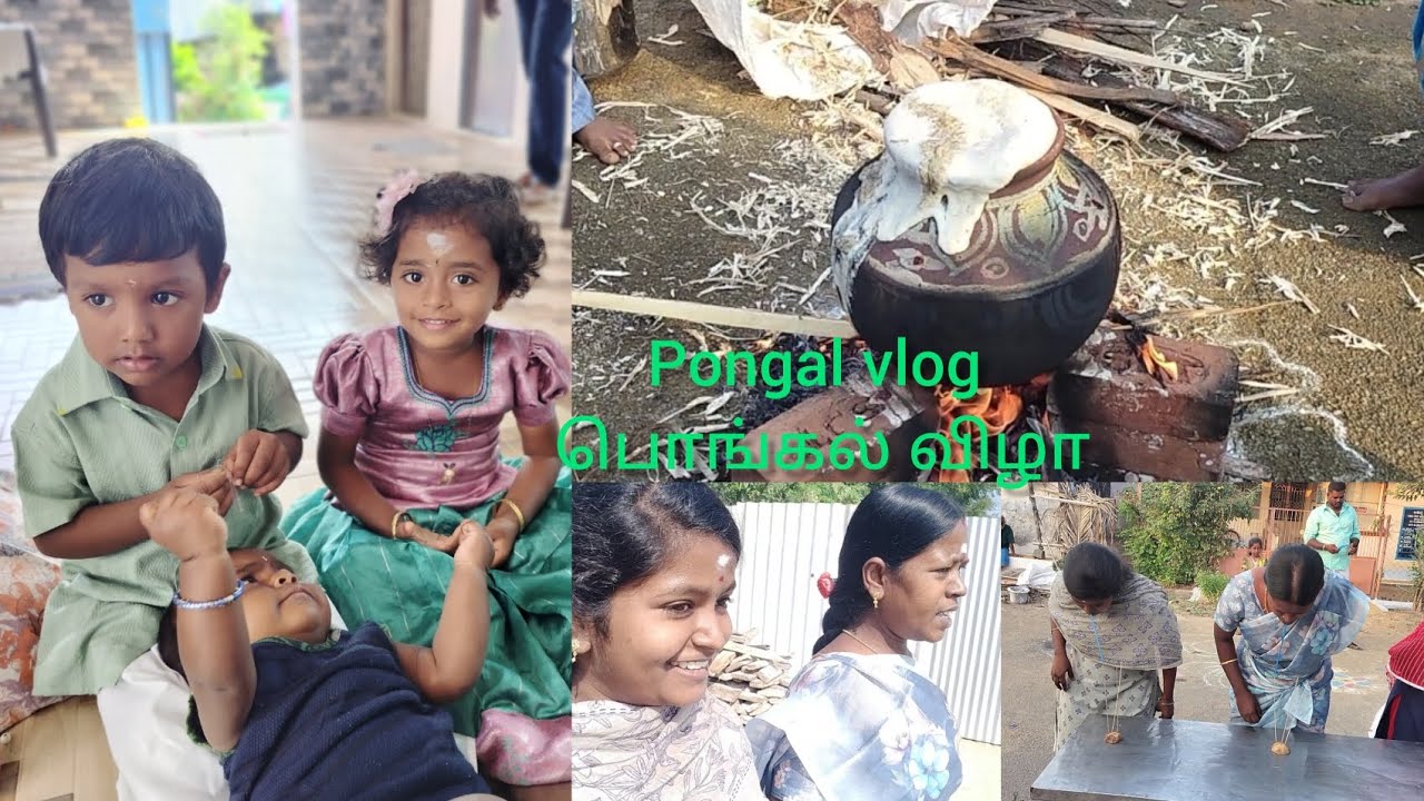 Pongal Vlog பொங்கல் விழா@nivethaut5472 #viral #vlog #pongal #video #shortvideo #viralvideo #feed 