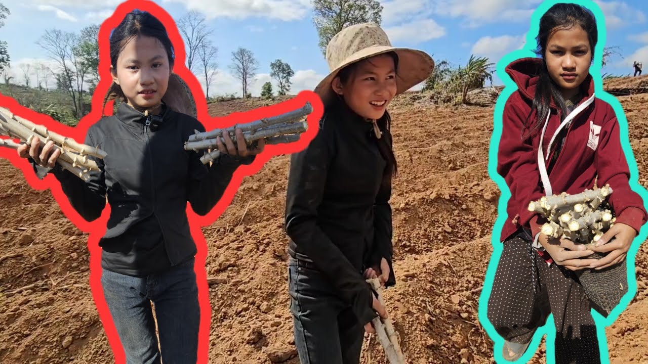 น้องใจดีบอกว่าถ้าปลูกแบบนี้ไม่รอดแน่นอน