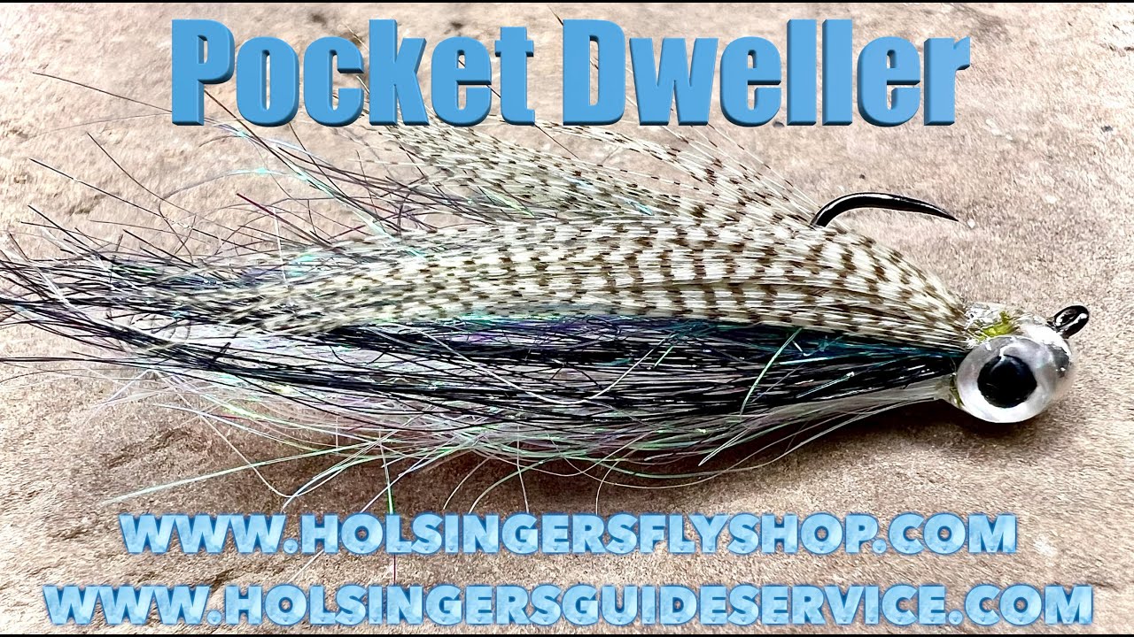 Pocket Dweller, Holsinger's Fly Shop, Эпизод 596