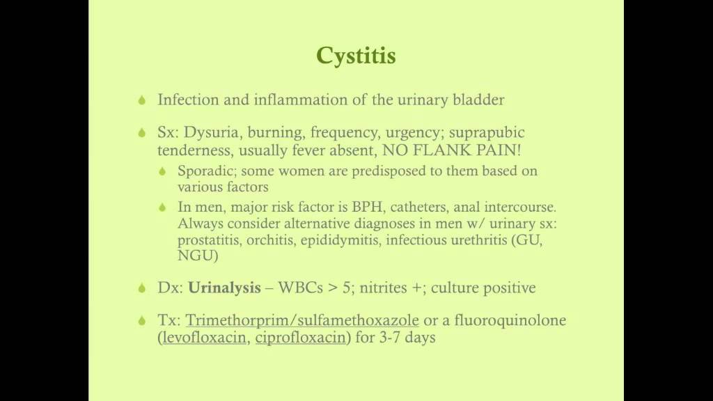 Renal Infections and UTI - CRASH! Medical Review Series