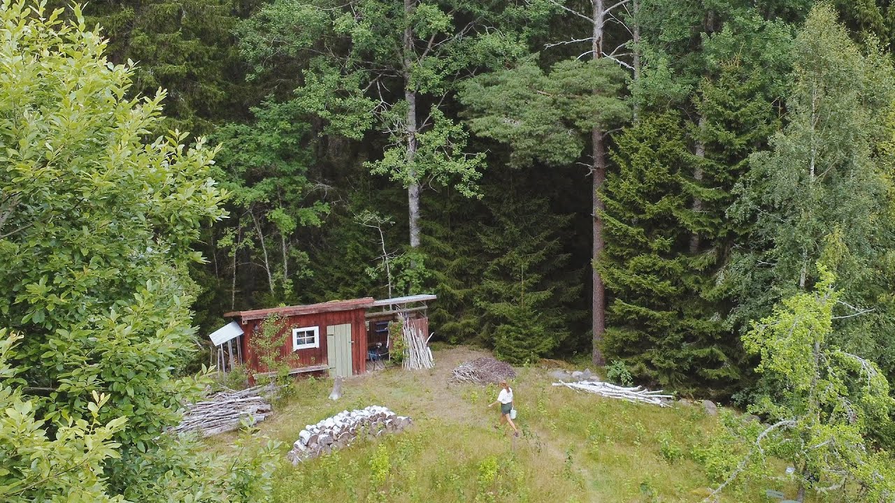 Life in Summer... Preparing for visitors (Story 111)