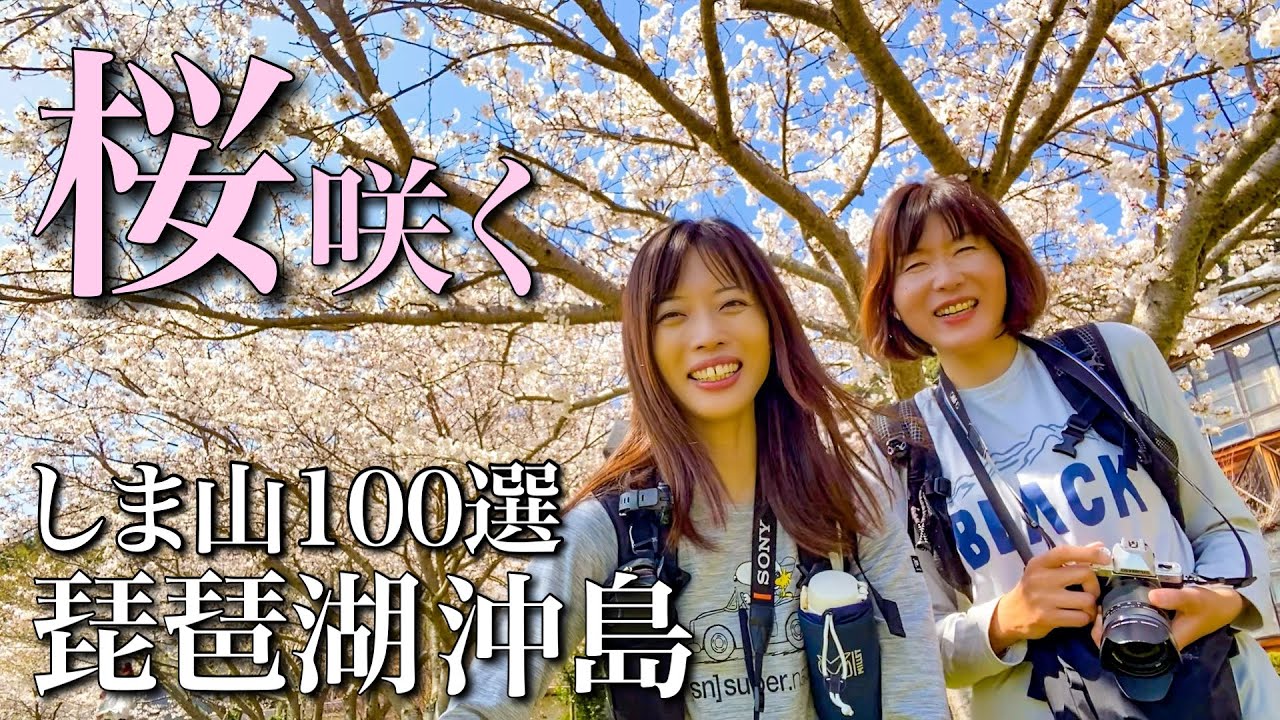 【しま山100選】桜のトンネルが見頃を迎える！琵琶湖に浮かぶ沖島
