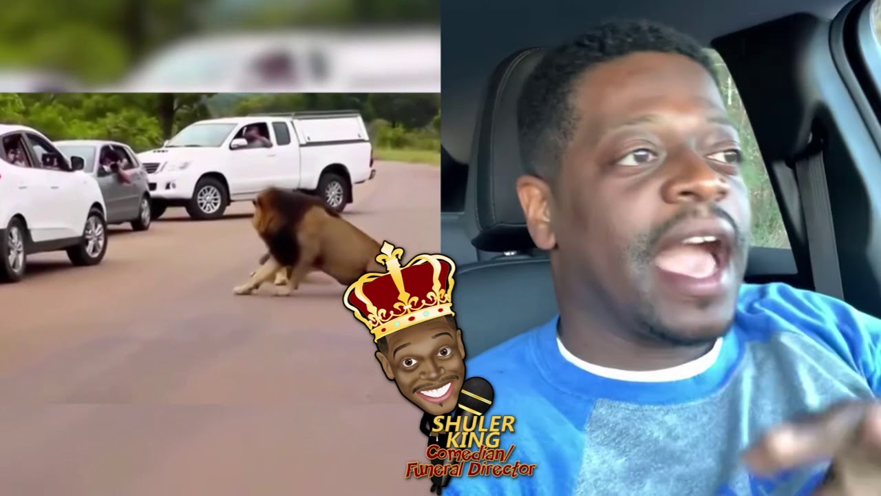 Shuler King - Get Back In This Car