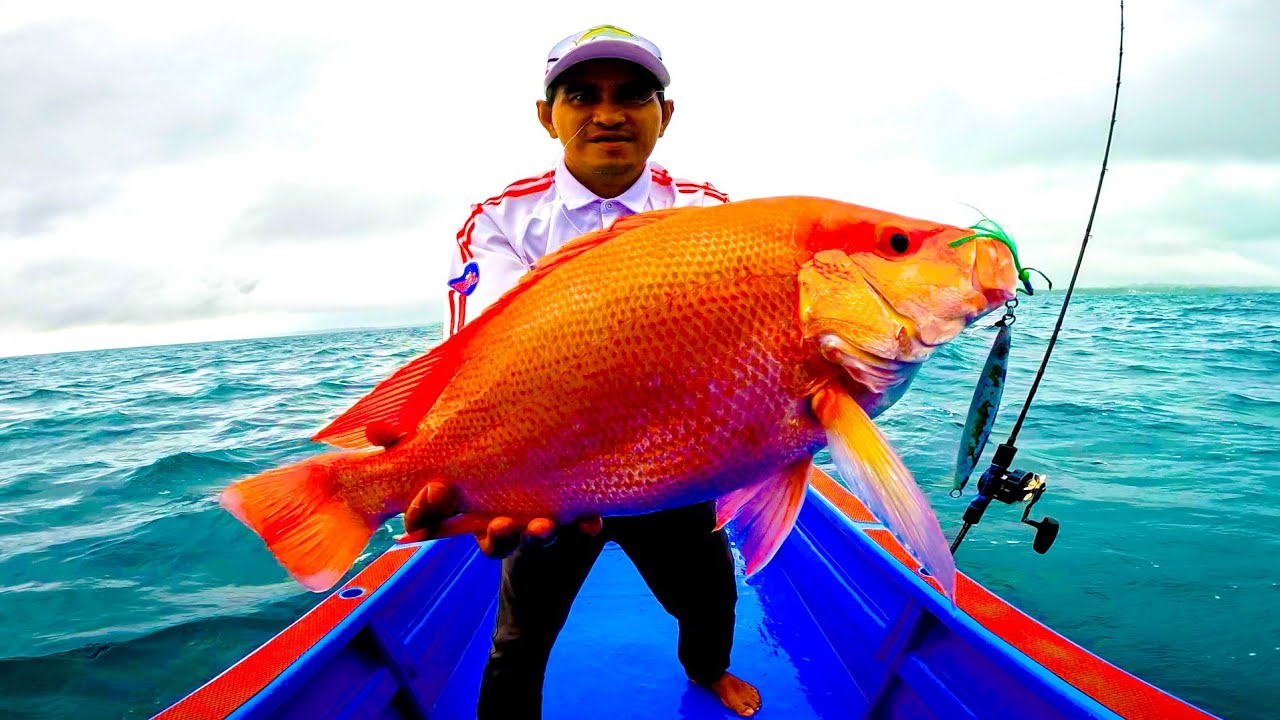 JIGGING IKAN MAHAL IKAN KAKAP MERAH