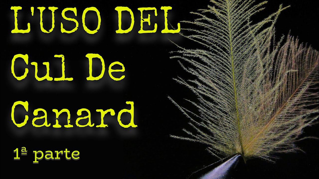 L'uso del Cul De Canard 1ªparte