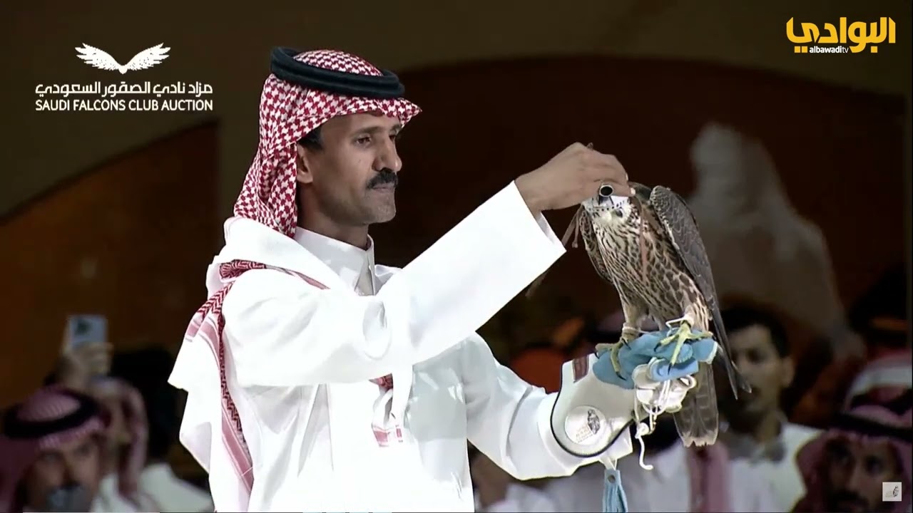المزاد الثاني- معرض الصيد والصقور السعودي 2024م