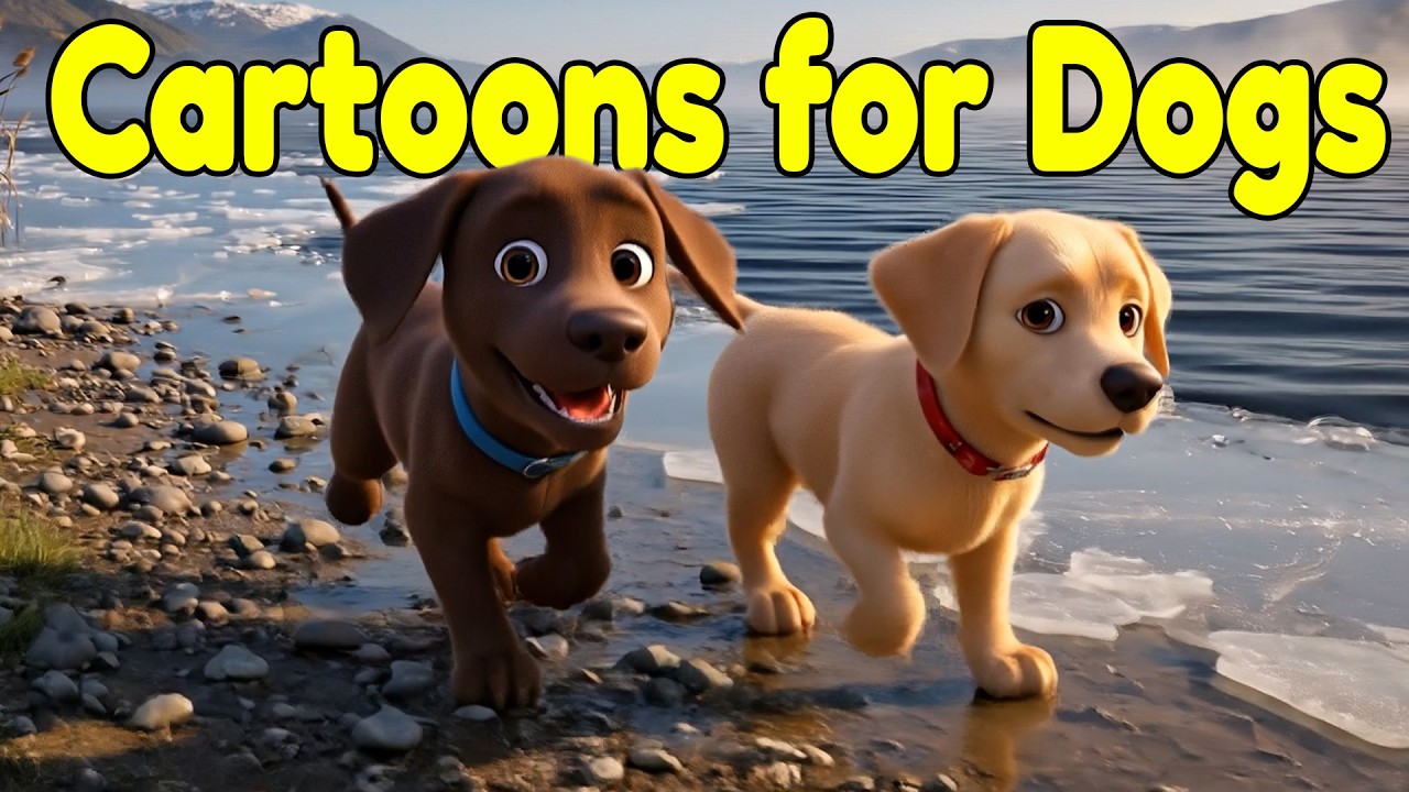 Cartoons for Dogs to Watch 🐾 Ultimate Dog Entertainment Videos for All-Day Viewing 🐾 Music for Dogs