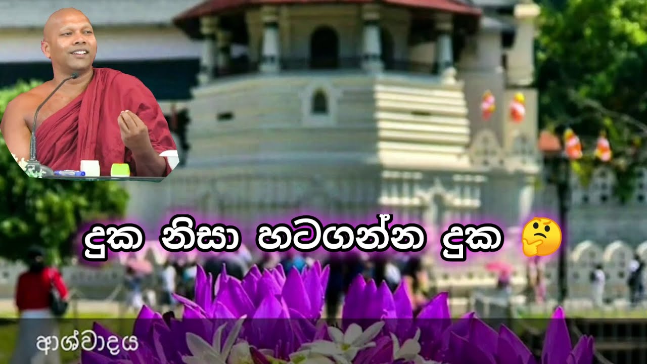 දුක නිසා හටගන්න දුක?🤔 |Hadapangoda Niwathapa Thero .