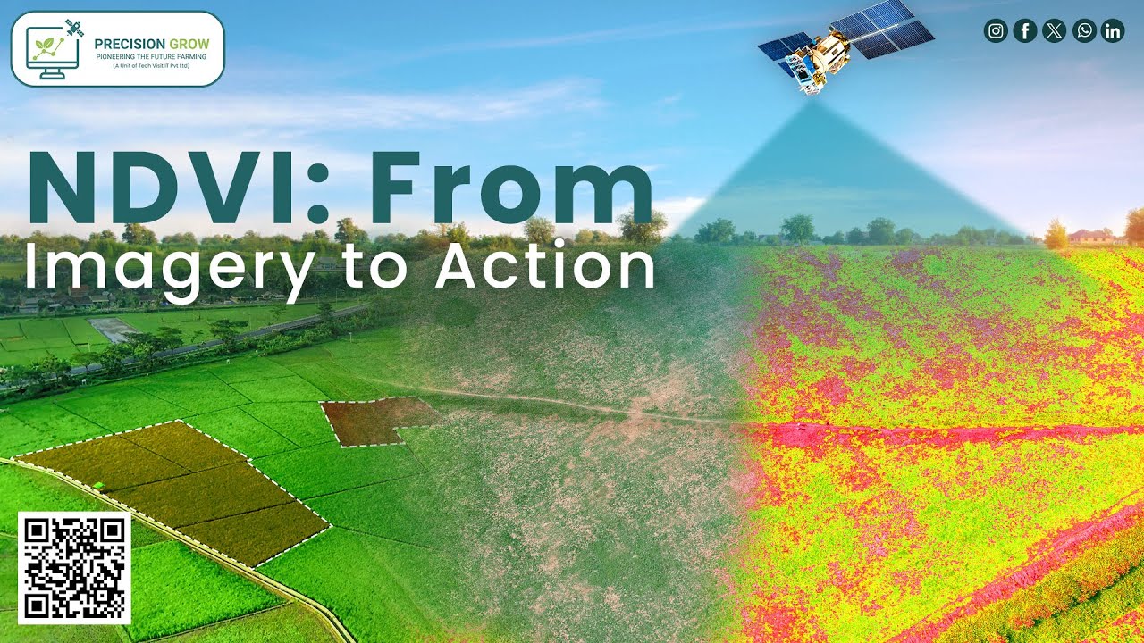 !! The Power of NDVI: Actionable Insights from Imagery !!