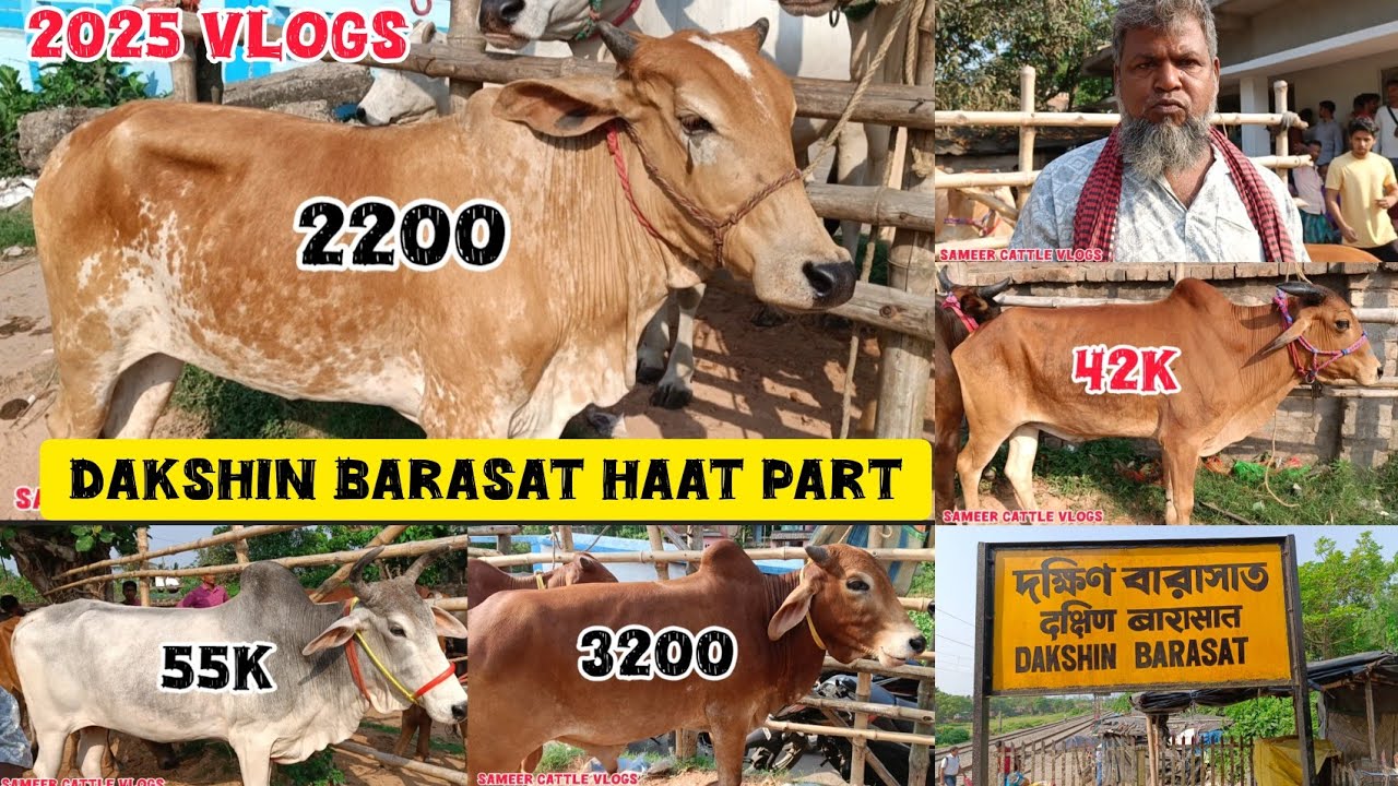 DAKSHIN BARASAT HAAT PART-1VLOGS DONT MISS|| FULL VIDEO HARAMI HAI HAT WAlA LOG || KOLKATA COW 2025 