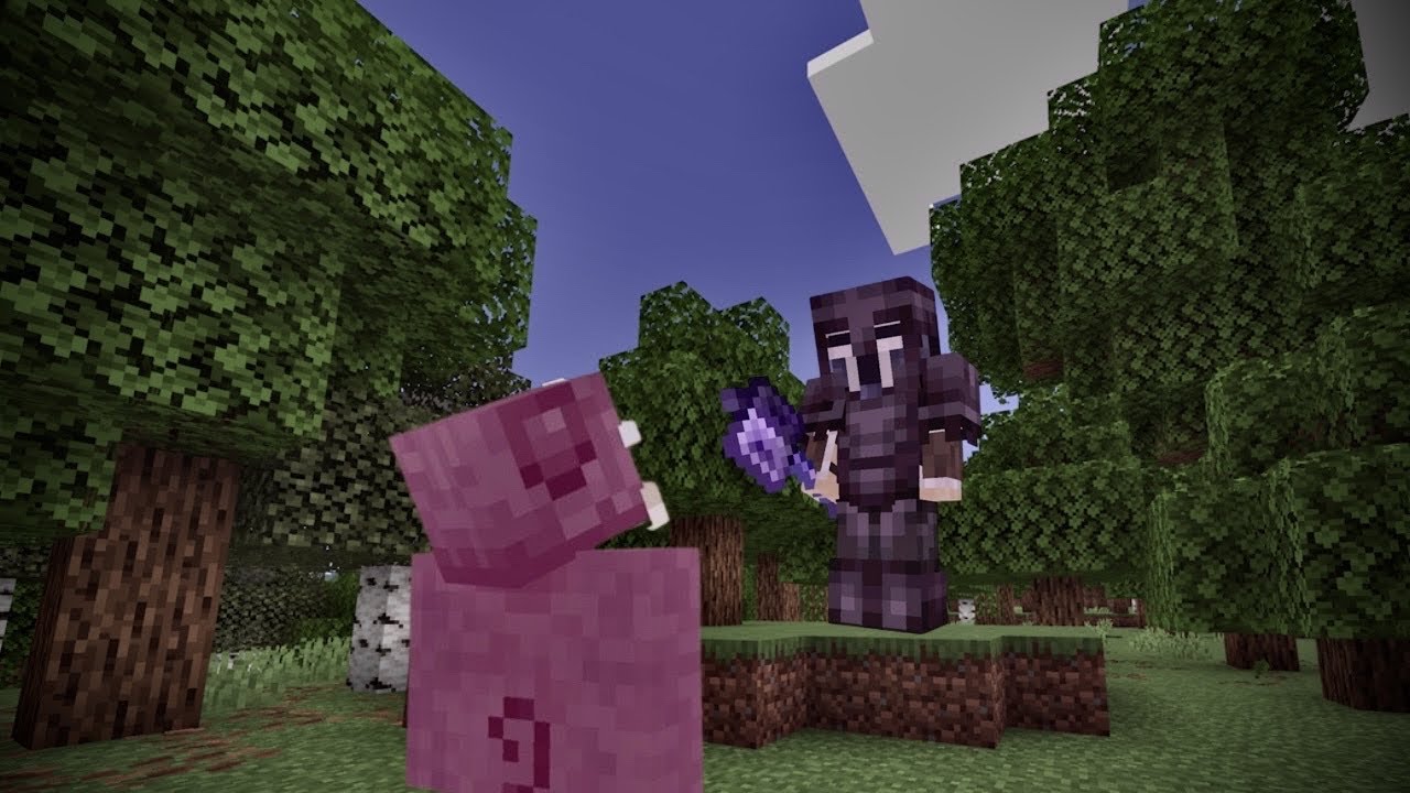 How I lost everything on this Hardcore SMP