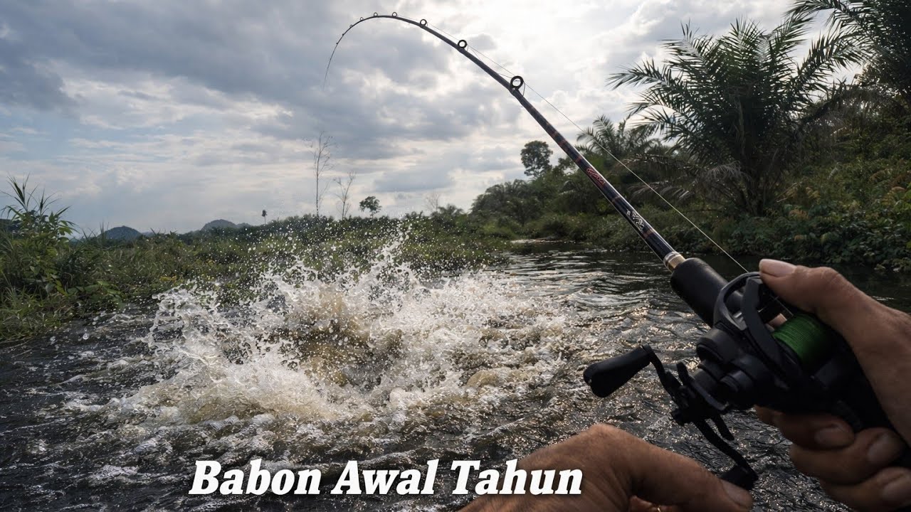 Awal yang baik, rejeki awal tahun yang membabonkan🤣🤣 || casting gabus babon