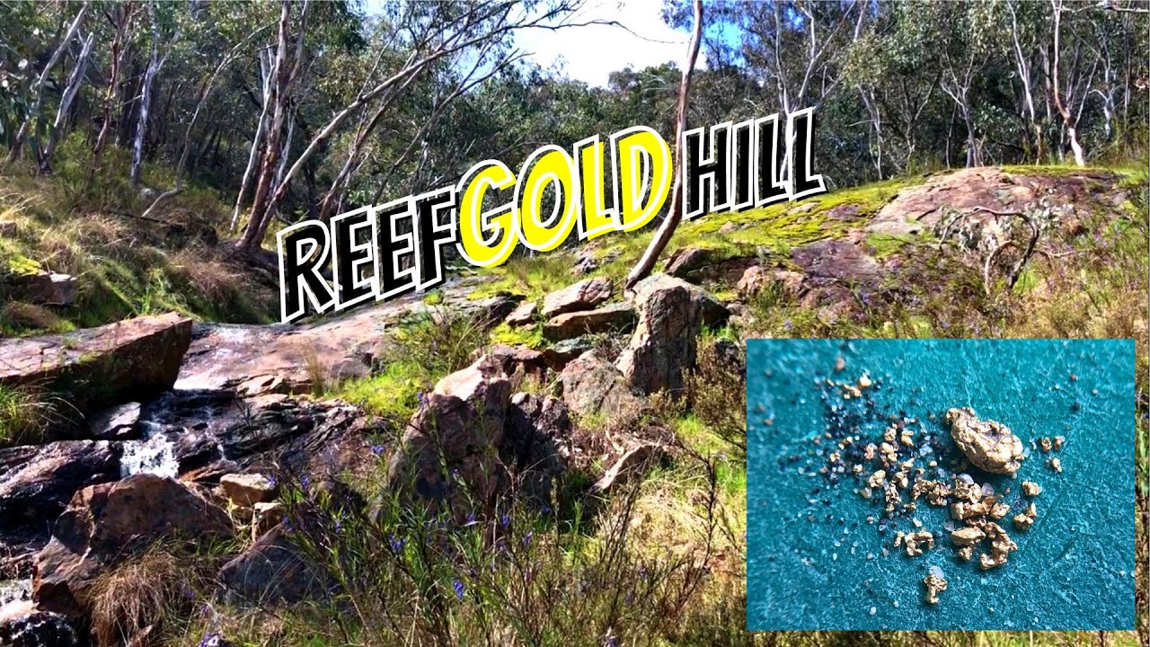 Up on this Hill You'll Find an Entire Gold Mine!