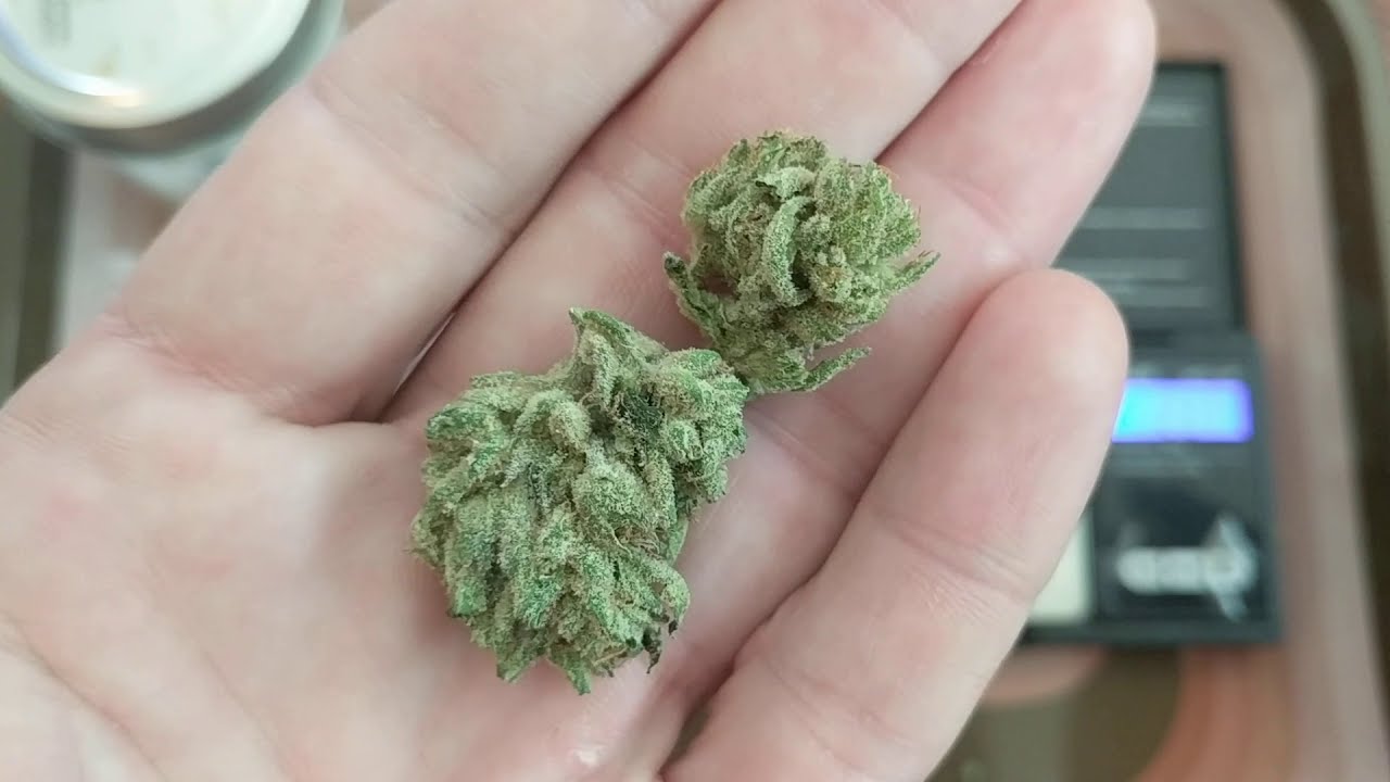 Durban Funk 23% GrowHealthy
