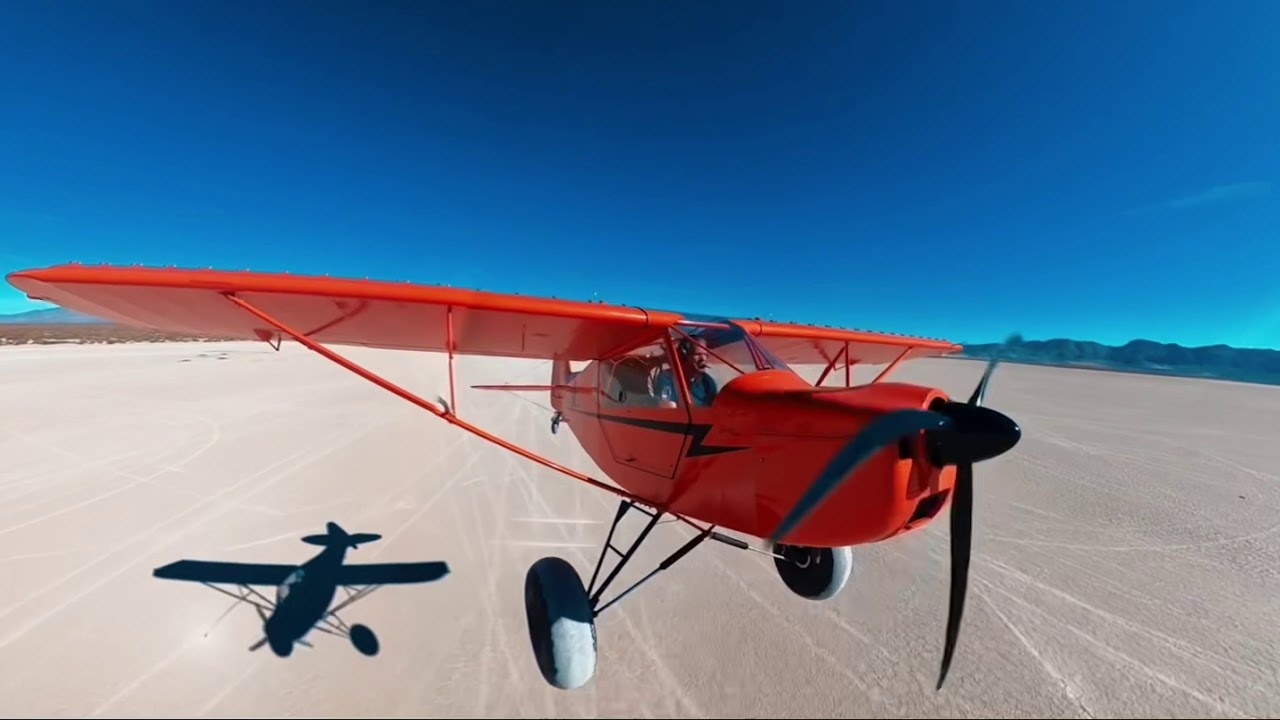 Chasing Kitfoxes over Dead Cow